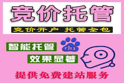 谷歌竞价案例：教育行业广告投放策略解析